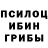 Псилоцибиновые грибы Magic Shrooms Raimonda Mazoniene