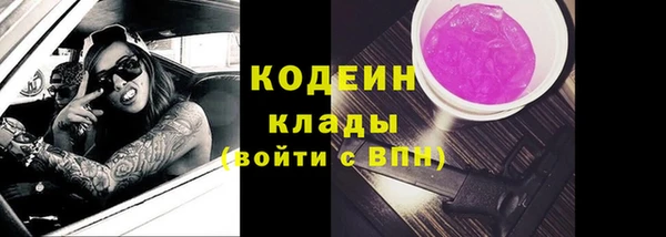 крисы Щигры